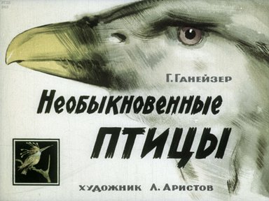 Диафильм «Необыкновенные птицы»