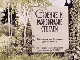 Строение и разнообразие стеблей: диафильм по биологии для 5 кл.