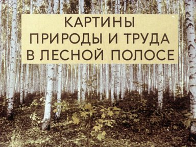 Диафильм «Картины природы и труда в лесной полосе»