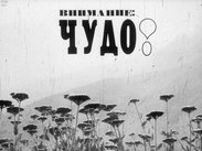 Внимание: чудо!