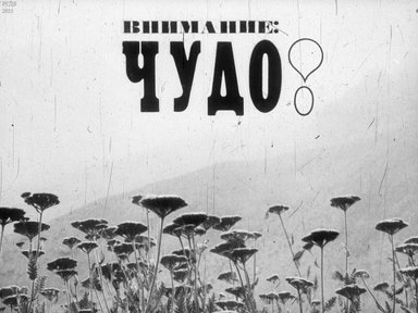 Диафильм «Внимание: чудо!»