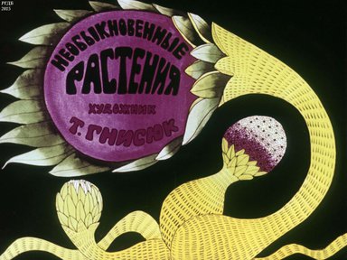 Диафильм «Необыкновенные растения»