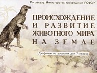 Диафильм «Происхождение и развитие животного мира на Земле»