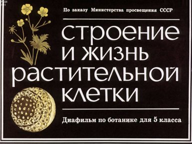 Диафильм «Строение и жизнь растительной клетки»