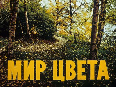 Диафильм «Мир цвета»
