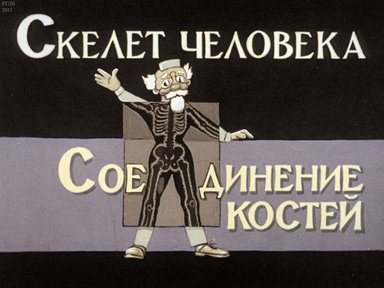 Диафильм «Скелет человека. Соединение костей: диафильм по биологии для 8 к.»