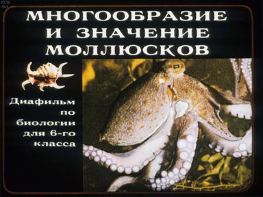 Диафильм «Многообразие и значение моллюсков»