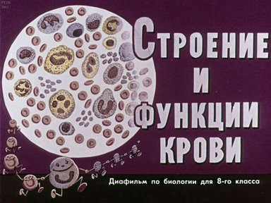 Диафильм «Строение и функции крови: диафильм по биологии для 8 кл.»
