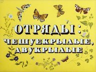 Диафильм «Отряды: чешуекрылые, двукрылые»