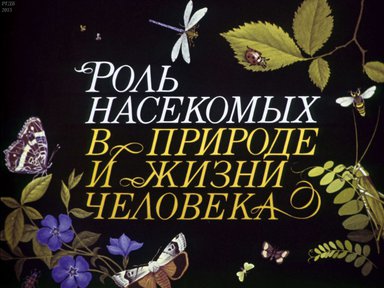 Диафильм «Роль насекомых в природе и жизни человека»