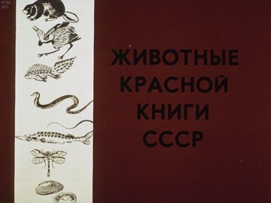 Диафильм «Животные Красной книги СССР»