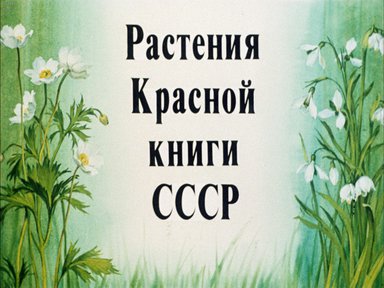 Диафильм «Растения Красной книги СССР»
