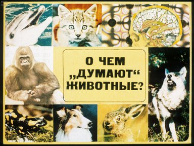 Диафильм «О чем "думают" животные»