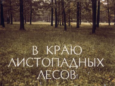 Диафильм «В краю листопадных лесов»