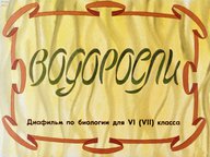 Диафильм «Водоросли»