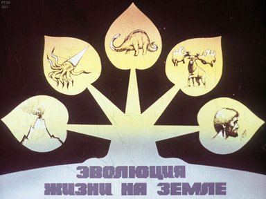Диафильм «Эволюция жизни на земле. Жизнь как этап развития материи»