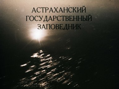 Астраханский государственный заповедник