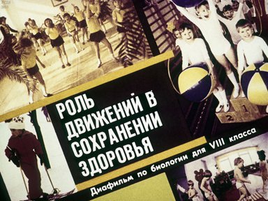 Диафильм «Роль движений в сохранении здоровья»
