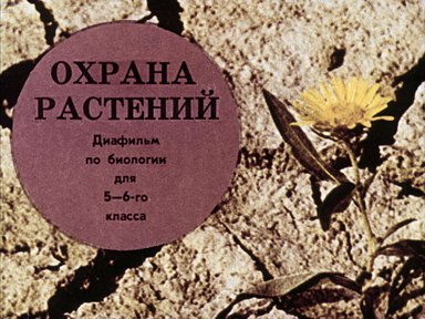 Диафильм «Охрана растений»