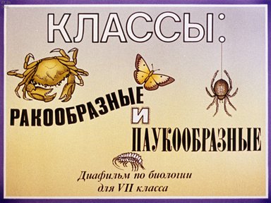 Диафильм «Классы: ракообразные и паукообразные»