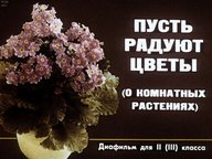 Диафильм «Пусть радуют цветы (о комнатных растениях)»