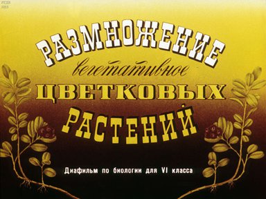 Диафильм «Размножение вегетативных цветковых растений»