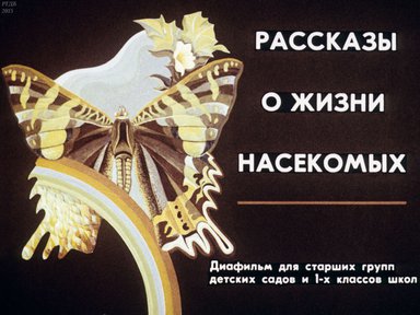 Диафильм «Рассказы о жизни насекомых»