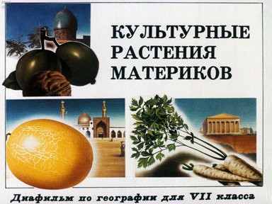 Диафильм «Культурные растения материков»