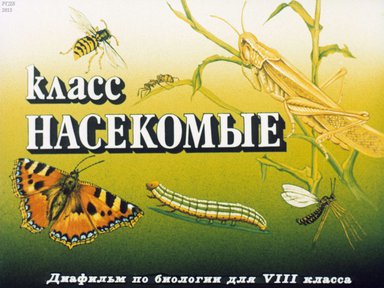Диафильм «Класс насекомые»