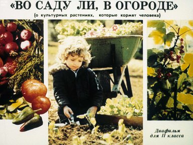 Диафильм «"Во саду ли, в огороде"»