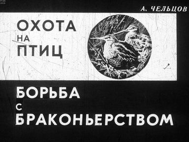 Диафильм «Охота на птиц. Борьба с браконьерством»