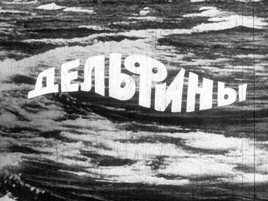 Диафильм «Дельфины»