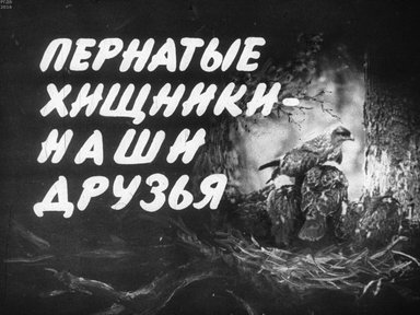 Диафильм «Пернатые хищники - наши друзья»