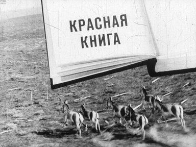 Диафильм «Красная книга»