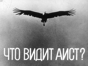 Что видит аист?