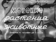 Диафильм «Морские растения и животные»