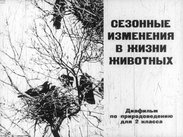Сезонные изменения в жизни животных