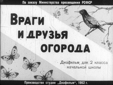 Диафильм «Враги и друзья огорода»