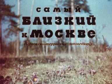 Самый близкий к Москве: (Приокско-террасный заповедник)