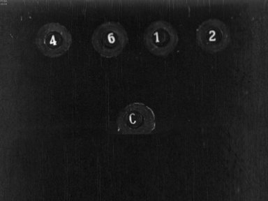 Диафильм «Мастер-ломастер»