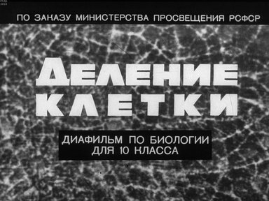 Диафильм «Деление клетки»