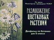 Размножение цветковых растений