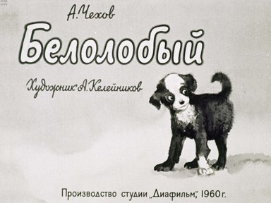 Диафильм «Белолобый»
