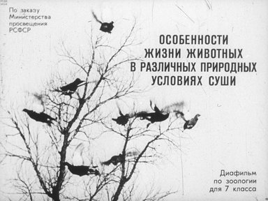 Диафильм «Особенности жизни животных в разных природных условиях суши»