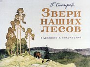 Звери наших лесов