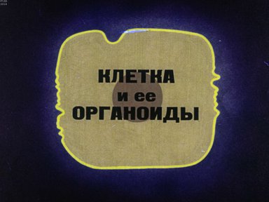 Диафильм «Клетка и ее органоиды»