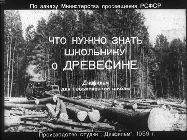 Диафильм «Что нужно знать школьнику о древесине»