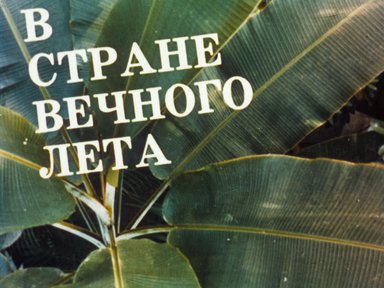 В стране вечного лета