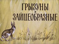 Диафильм «Грызуны и зайцеобразные»