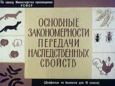 Диафильм «Основные закономерности передачи наследственных свойств»